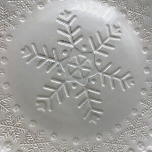 Pier 1 imports embossed snowflake Christmas dinner plates set of 2 stoneware 11"